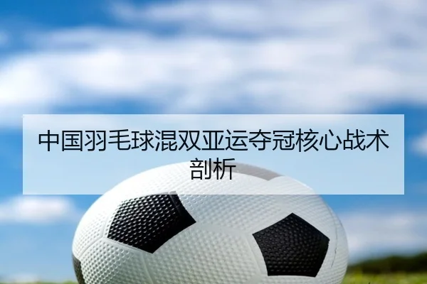 中国羽毛球混双亚运夺冠核心战术剖析